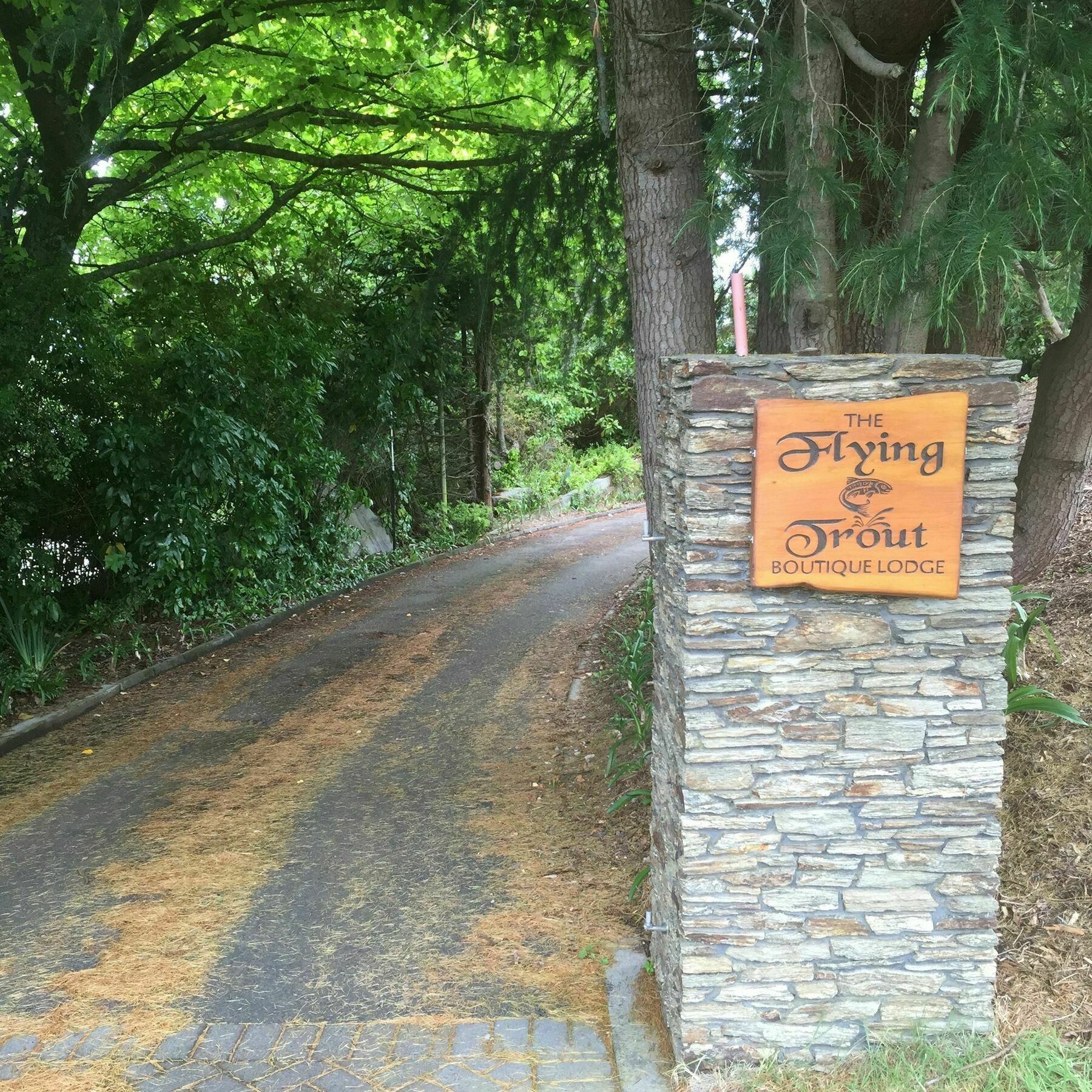 The Flying Trout Boutique Lodge Таупо Экстерьер фото